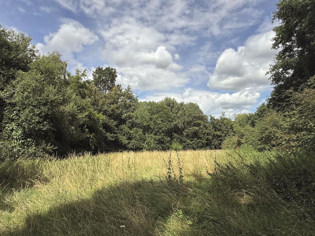 Lot: 75 - APPROXIMATELY ONE ACRE OF LAND - Land